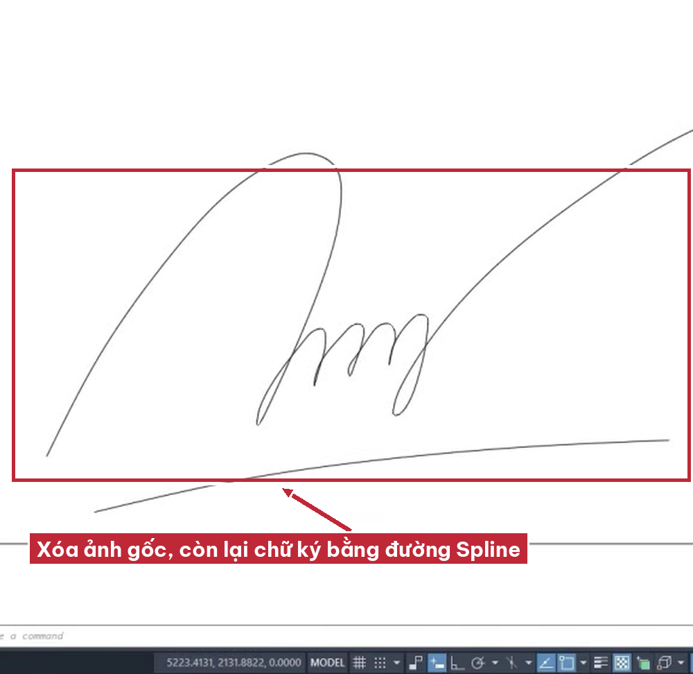 Xóa ảnh gốc, còn lại chữ ký Spline đẹp trong AutoCAD